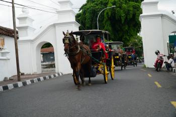 Andong di Kota Yogyakarta