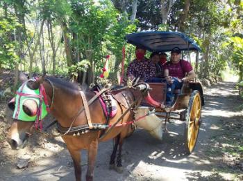 Candirejo Village: experience rural Java’s traditional life closed to Borobudur Temple